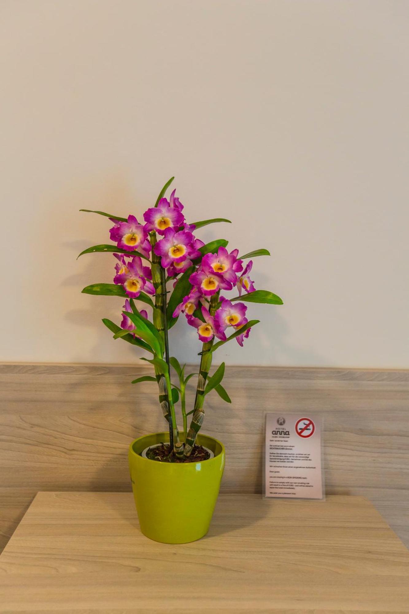 Hotel Anna ヒルデン 部屋 写真